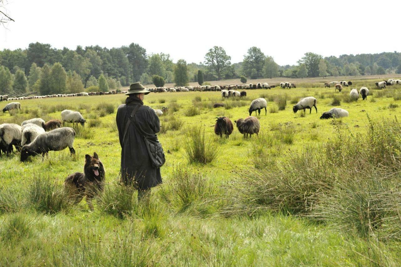 Ferienhof Cohrs บิสพิงเงน ภายนอก รูปภาพ